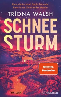 Schneesturm - Tríona Walsh - E-Book
