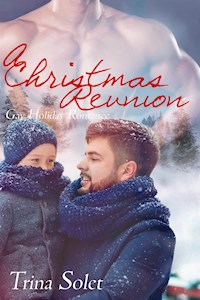 A Christmas Reunion (Gay Romance) - Trina Solet - E-Book