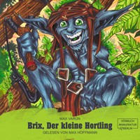 Brix, der kleine Hortling - Die Suche nach dem goldenen Löffel (ungekürzt) - Max Varûn - Hörbuch