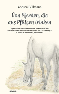 Von Pferden, die aus Pfützen trinken - Andrea Güllmann - E-Book