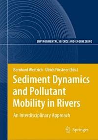 Sediment Dynamics and Pollutant Mobility in Rivers -  - E-Book