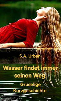 Wasser findet immer seinen Weg - S A Urban - E-Book