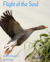 Flight of the Soul - alastair macleod - E-Book