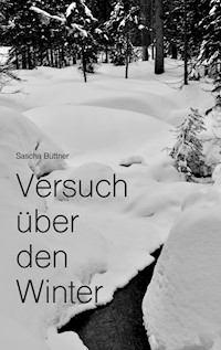 Versuch über den Winter - Sascha Büttner - E-Book