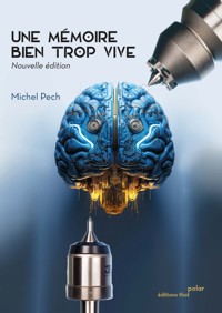 Une mémoire bien trop vive - Michel Pech - E-Book