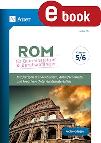 Rom für Quereinsteiger & Berufsanfänger - Julia Elz - E-Book