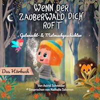 Wenn der Zauberwald dich ruft - Astrid Schneider - Hörbuch