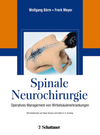 Spinale Neurochirurgie - Wolfgang Börm - E-Book