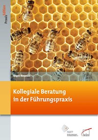 Kollegiale Beratung in der Führungspraxis - Jürgen Nowoczin - E-Book