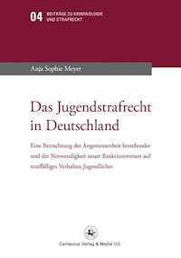 Das Jugendstrafrecht in Deutschland - Anja Sophie Meyer - E-Book