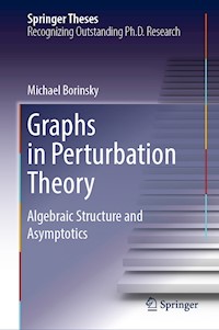 Graphs in Perturbation Theory - Michael Borinsky - E-Book