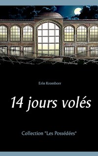 14 jours volés - Erin Kromborr - E-Book