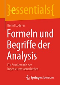 Formeln und Begriffe der Analysis - Bernd Luderer - E-Book