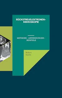 Rückstreuelektronenmikroskopie - Robert Sturm - E-Book