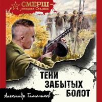 Тени забытых болот - Тамоников Александр - Hörbuch