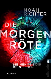 Die Morgenröte - Sie nehmen dir dein Leben - Noah Richter - E-Book
