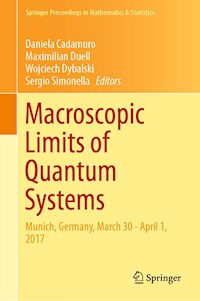 Macroscopic Limits of Quantum Systems -  - E-Book