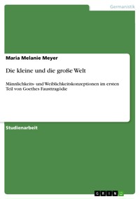Die kleine und die große Welt - Maria Melanie Meyer - E-Book