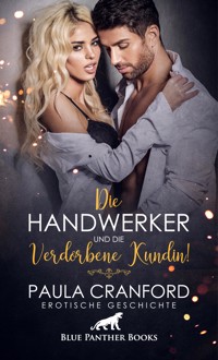 Die Handwerker und die verdorbene Kundin! | Erotische Geschichte - Paula Cranford - E-Book