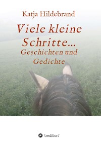 Viele kleine Schritte... - Katja Hildebrand - E-Book