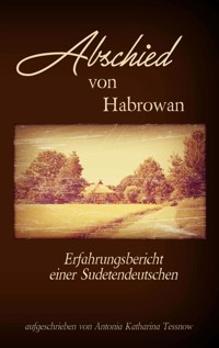 Abschied von Habrowan - Antonia Katharina Tessnow - E-Book