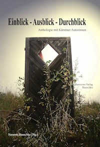 Einblick – Ausblick – Durchblick - Susanne Bauschke - E-Book