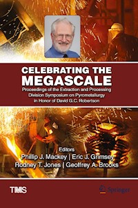 Celebrating the Megascale -  - E-Book