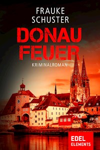 Donaufeuer - Frauke Schuster - E-Book