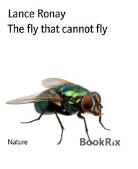 The fly that cannot fly - Lance Ronay - kostenlos E-Book