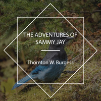 The Adventures of Sammy Jay - Thornton W. Burgess - Hörbuch