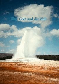 Über Gott und die Welt - Roland Harrer - E-Book