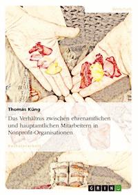 Das Verhältnis zwischen ehrenamtlichen und hauptamtlichen Mitarbeitern in Nonprofit-Organisationen - Thomas Küng - E-Book
