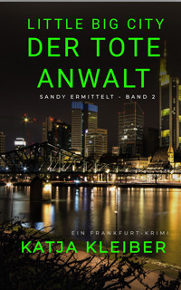 Little Big City: Der tote Anwalt - Katja Kleiber - E-Book