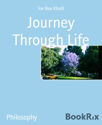 Journey Through Life - Joe Bou Khalil - E-Book