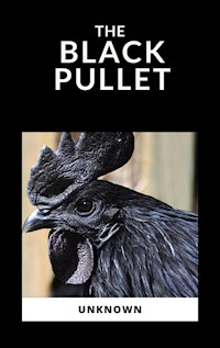 The Black Pullet - Anonymous Author - E-Book