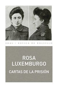 Cartas desde la prisión - Rosa Luxemburgo - E-Book
