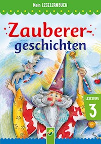 Zauberergeschichten - Anke Breitenborn - E-Book
