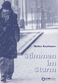 Stimmen im Sturm - Walter Kaufmann - E-Book