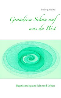 Grandiose Schau auf was du Bist - Ludwig Weibel - E-Book