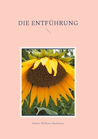Die Entführung - Robert Williams Buchanan - E-Book