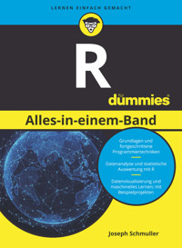 R Alles-in-einem-Band für Dummies - Joseph Schmuller - E-Book