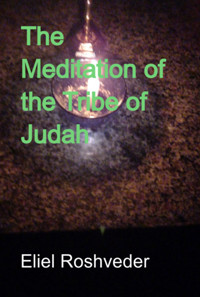 The Meditation Of The Tribe Of Judah - Eliel Roshveder - E-Book