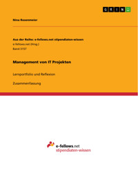 Management von IT Projekten - Nina Rosenmeier - E-Book