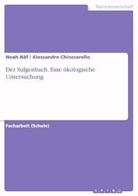 Der Sulgenbach. Eine ökologische Untersuchung - Noah Näf - E-Book