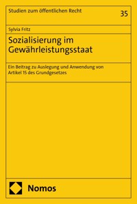 Sozialisierung im Gewährleistungsstaat - Sylvia Fritz - E-Book
