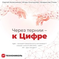 Через тернии — к Цифре - Игорь Альтшулер - Hörbuch