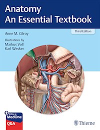 Anatomy - An Essential Textbook - Anne M Gilroy - E-Book