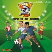 Kampf um den Bolzplatz - Fußball-Haie 4 - Andreas Schlüter - Hörbuch