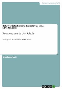Peergruppen in der Schule - Bahriye Öztürk - E-Book