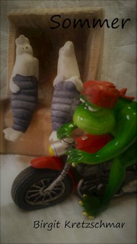 Sommer - Birgit Kretzschmar - E-Book